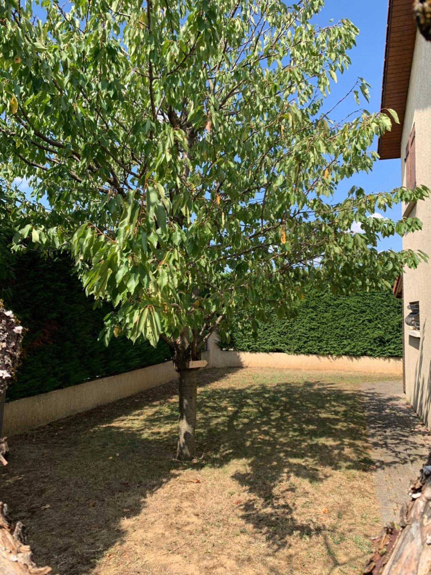 Studio Equipe Le Chasseland Chassieu Ngoại thất bức ảnh